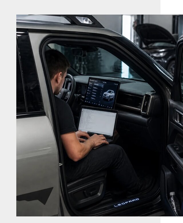 Русификация BYD Leopard 3 в Кыштыме по цене от 20668 р. | ФастМобиль-Кшт
